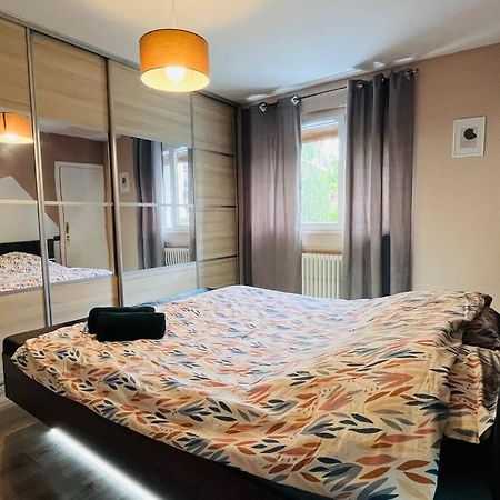 Appartement Proche Centre Ville Avec Parking Gratuit Annecy Ngoại thất bức ảnh