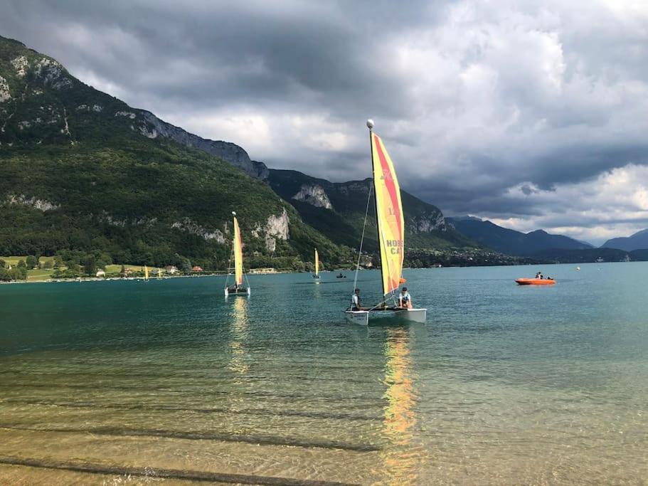 Appartement Proche Centre Ville Avec Parking Gratuit Annecy Ngoại thất bức ảnh
