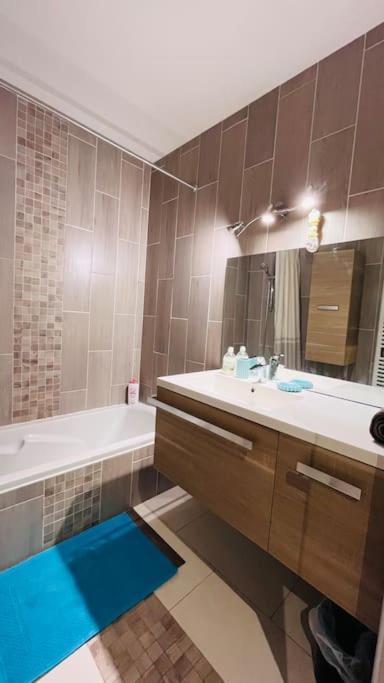 Appartement Proche Centre Ville Avec Parking Gratuit Annecy Ngoại thất bức ảnh