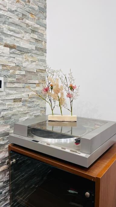 Appartement Proche Centre Ville Avec Parking Gratuit Annecy Ngoại thất bức ảnh