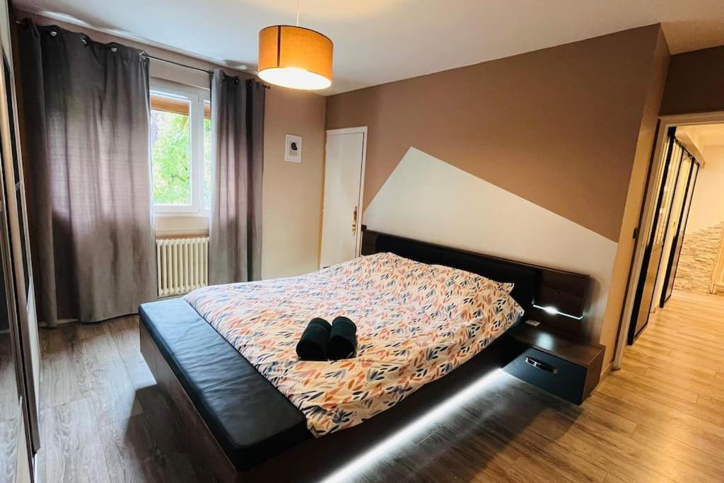 Appartement Proche Centre Ville Avec Parking Gratuit Annecy Ngoại thất bức ảnh